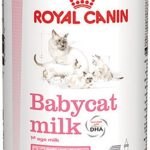 Babycat-Milk-01