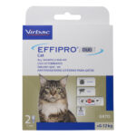 EFFIPRO DUO gato 6-12_600x600