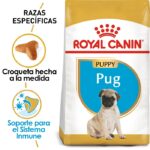 Pug_Puppy_Hero_NEW